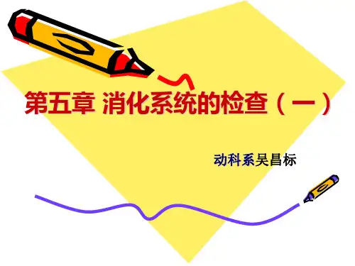 第五章 消化系统的检查