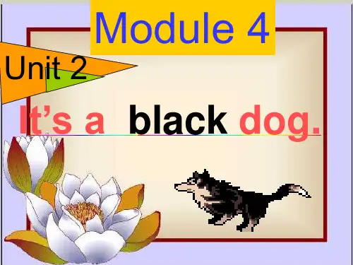 新外研版三年级英语上册M4U2-4-课件