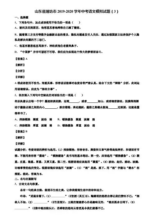 山东省潍坊市2019-2020学年中考语文模拟试题(3)含解析