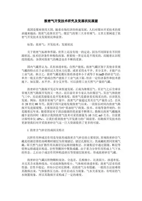 致密气开发技术研究及发展状况展望