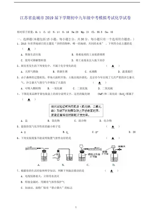 (人教版)江苏省盐城市2019届下学期初中九年级中考模拟考试化学试卷(推荐).doc