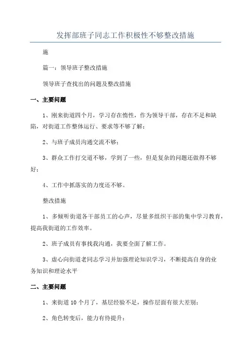 发挥部班子同志工作积极性不够整改措施