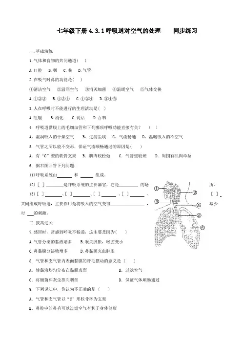 最新人教版七年级生物下册《呼吸道对空气的处理》同步练习(附答案)