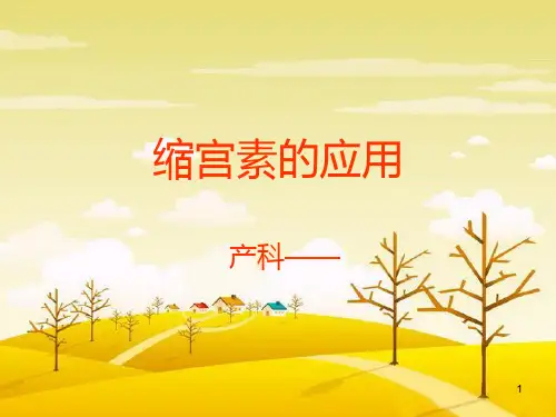缩宫素的应用ppt课件