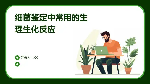 细菌鉴定中常用的生理生化反应