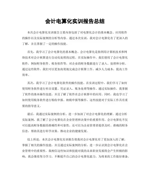 会计电算化实训报告总结