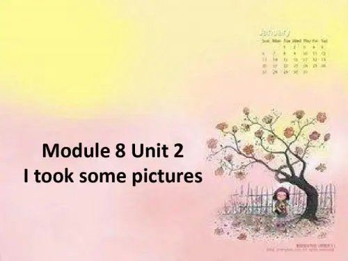 四年级下册英语课件-Module 8 Unit 2  I took some pictures∣外研版(三起) (共17张PPT)