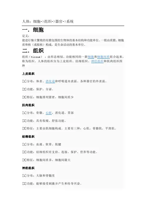 人体组成结构