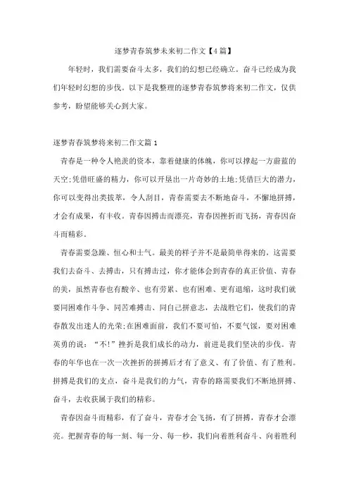 逐梦青春筑梦未来初二作文【4篇】