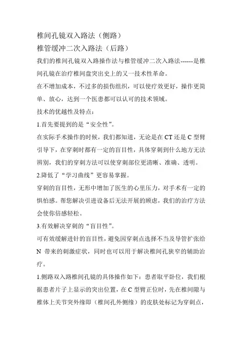椎间孔镜双入路法