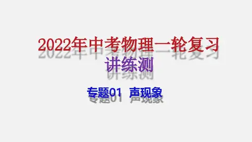 (中考物理精讲)专题01  声现象(讲练)