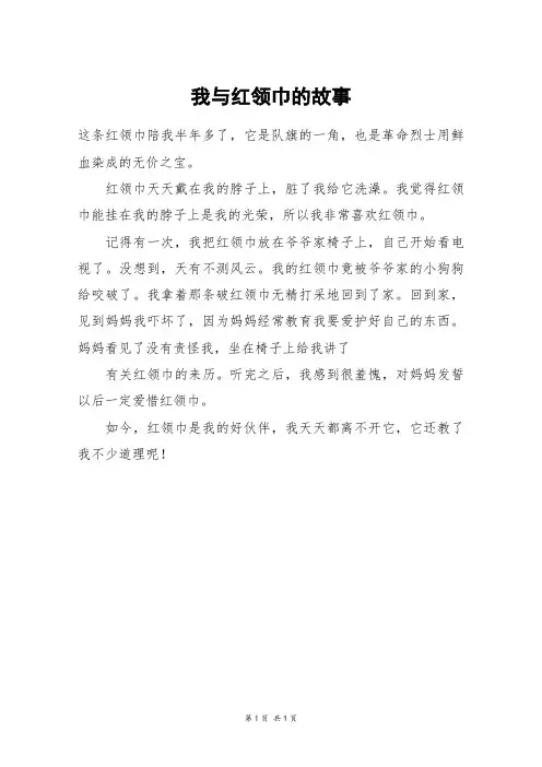 我与红领巾的故事_二年级作文_60