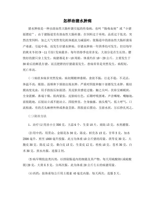 怎样治猪水肿病