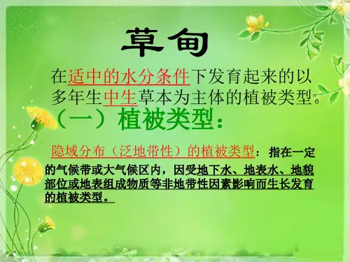 草甸