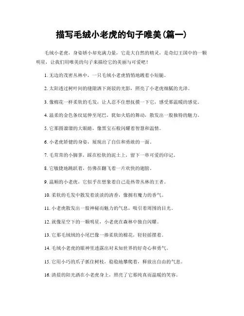 描写毛绒小老虎的句子唯美(精选2篇)