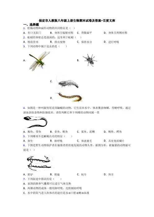 保定市人教版八年级上册生物期末试卷及答案-百度文库