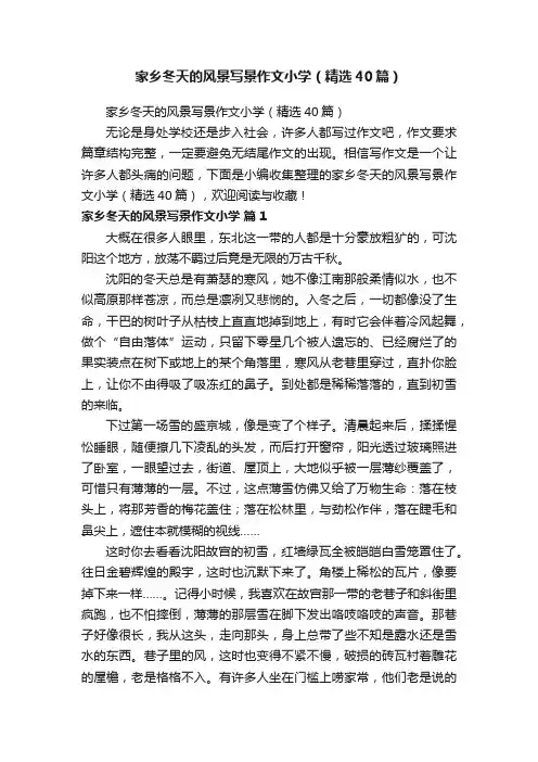 家乡冬天的风景写景作文小学（精选40篇）