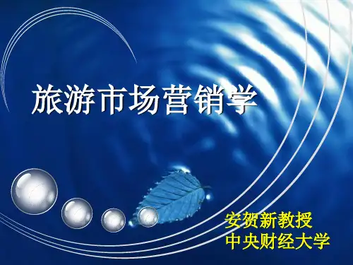 旅游市场营销学培训课件(共46张PPT)