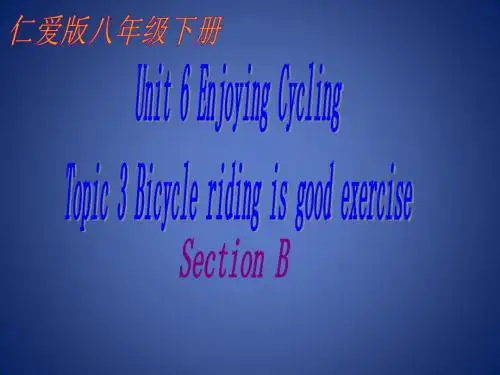 八年级英语下册 Unit 6 Enjoying Cycling Topic 3 bic