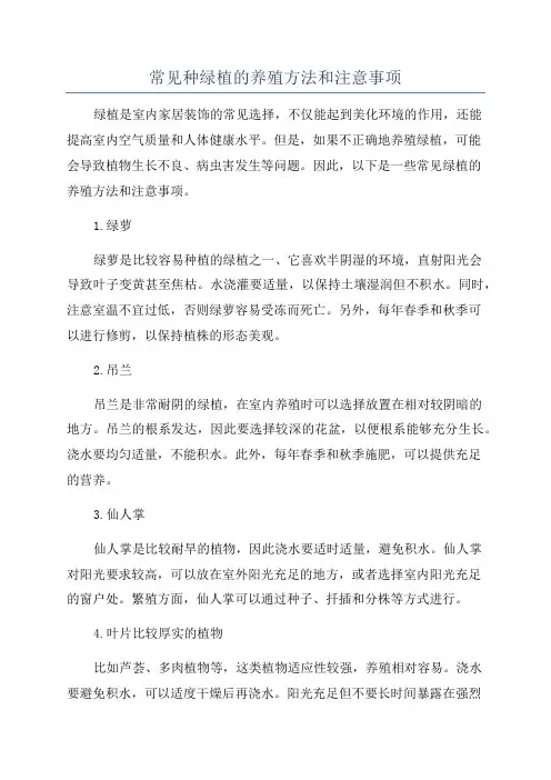 常见种绿植的养殖方法和注意事项