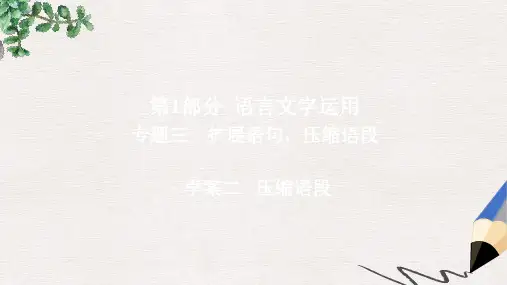 高考语文一轮总复习专题三扩展语句压缩语段2压缩语段课件