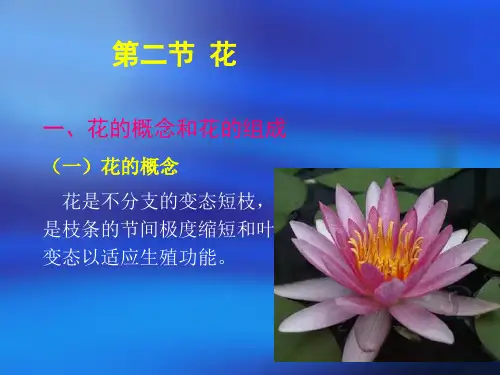 花的概念和花的组成