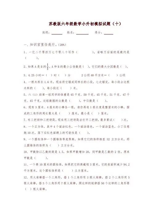 苏教版六年级数学小升初模拟试题(十)含答案-精编