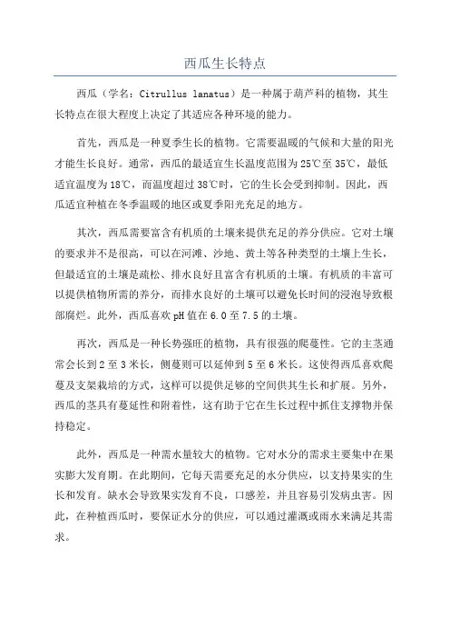 西瓜生长特点