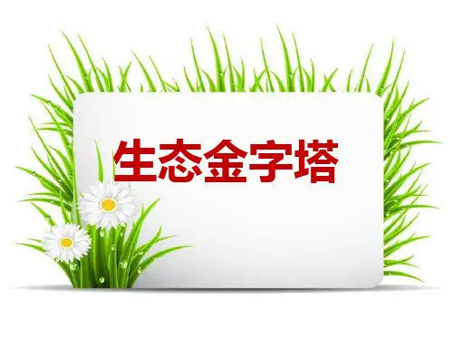 《生态金字塔》PPT(完美版)