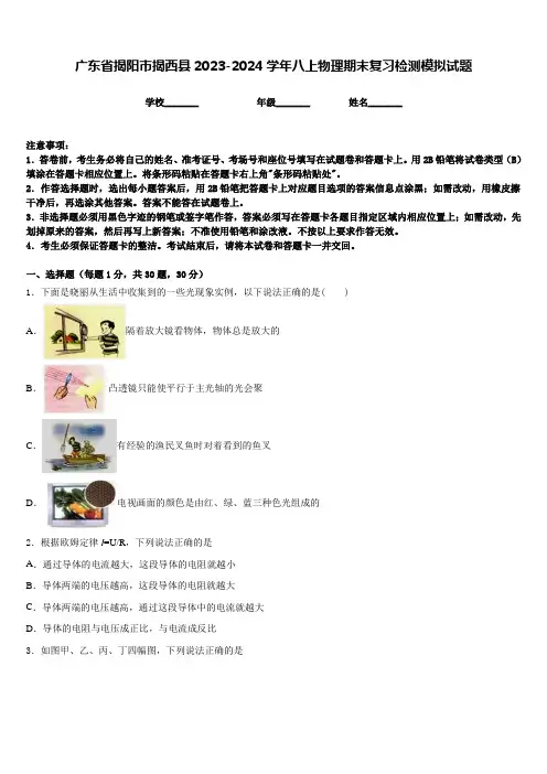 广东省揭阳市揭西县2023-2024学年八上物理期末复习检测模拟试题含答案
