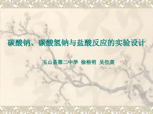 碳酸钠碳酸氢钠与盐酸反应的实验设计