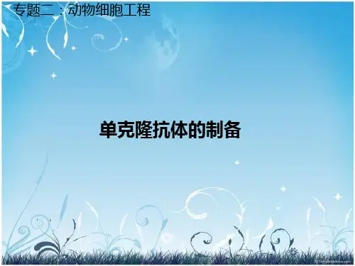 单克隆抗体的制备(公开课)