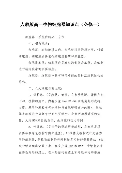 人教版高一生物细胞器知识点(必修一)
