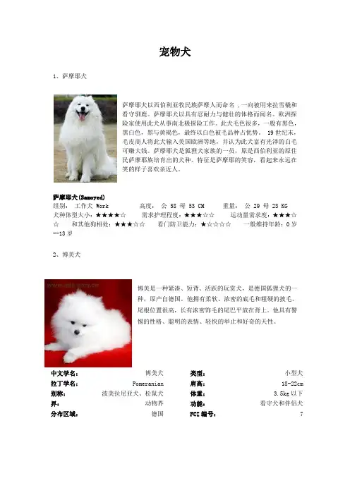 宠物犬