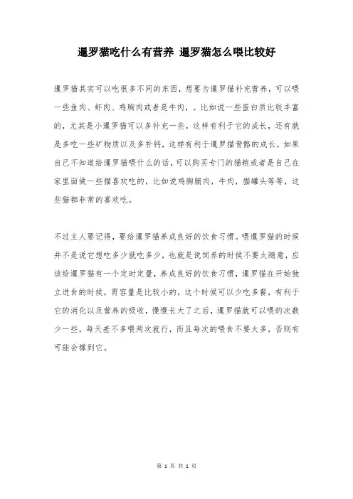 暹罗猫吃什么有营养 暹罗猫怎么喂比较好