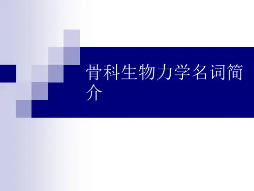 生物力学PPT课件
