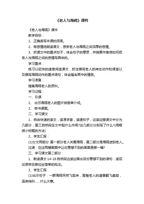 《老人与海鸥》课件