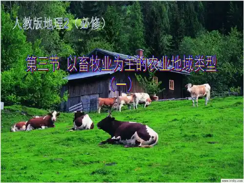 人教版高中地理必修二3.3.1以畜牧业为主的农业地域类型课件 