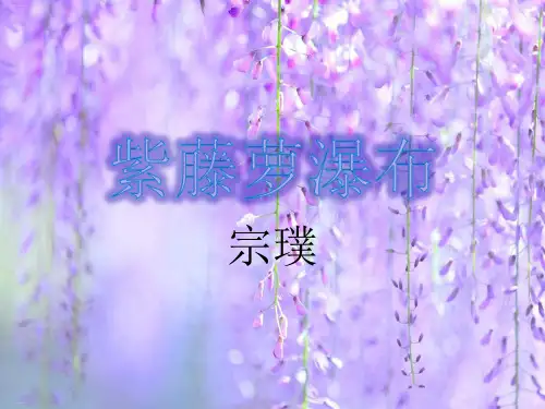 人教部编版七年级下册17课《紫藤萝瀑布》课件