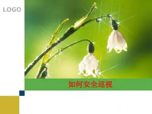 [课件]如何安全巡视PPT