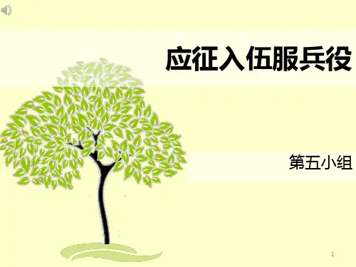 应征入伍服兵役PPT课件