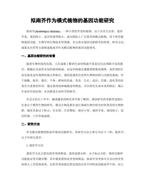 拟南芥作为模式植物的基因功能研究