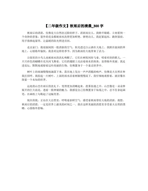 【二年级作文】秋雨后的清晨_300字