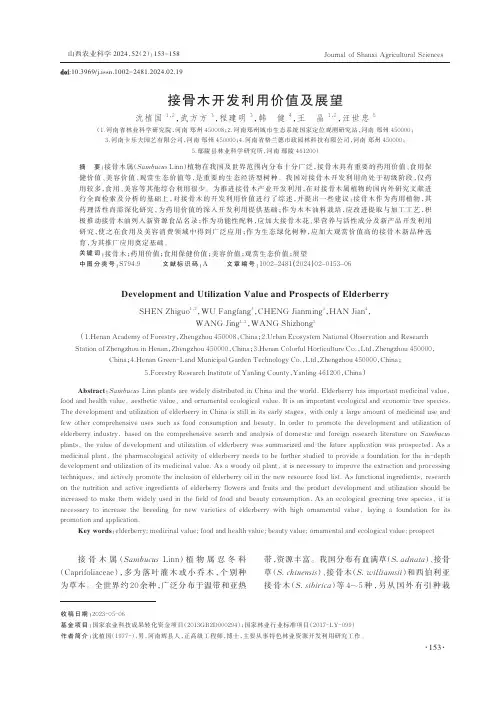 接骨木开发利用价值及展望