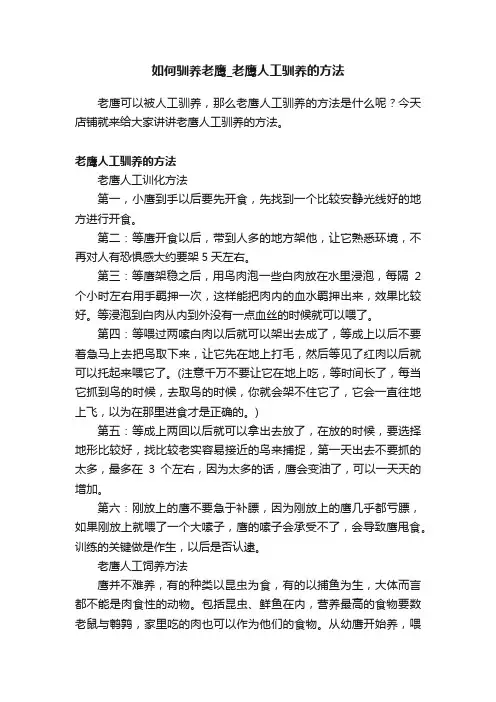 如何驯养老鹰_老鹰人工驯养的方法