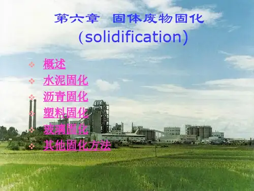 固体废物固化