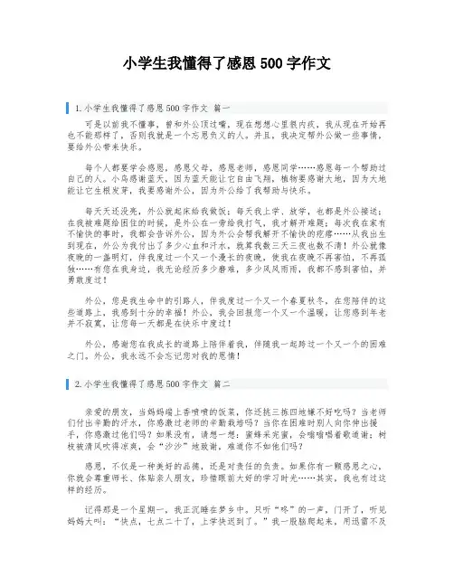 小学生我懂得了感恩500字作文