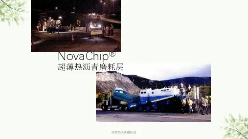 超薄热沥青磨耗层课件