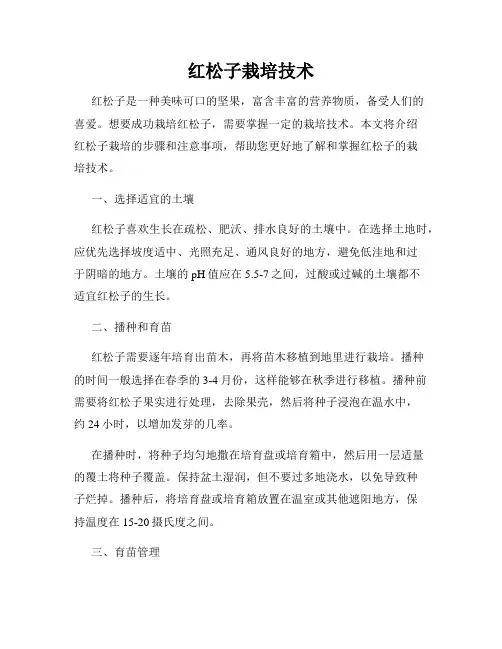 红松子栽培技术