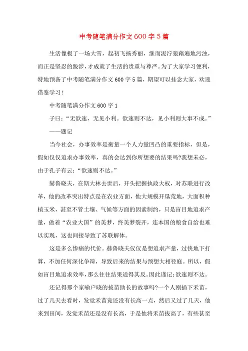 中考随笔满分作文600字5篇